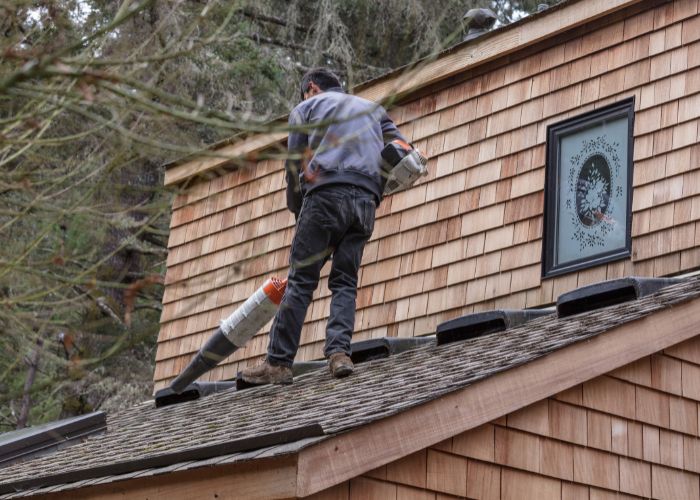 moss removal in southampton